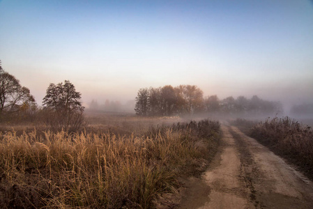 清晨雾蒙蒙的乡村道路景观图片