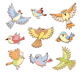 收集不同鸟类的飞行姿势。 白色背景上孤立的五颜六色的鸟。 卡通风格。 手绘矢量插图。