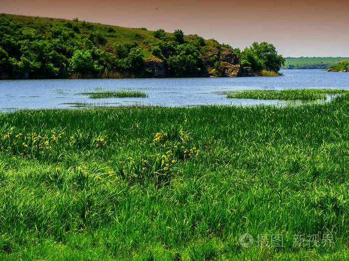 春季河漫滩乡村景观