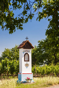 s  with vineyard near Nechory, Czech Republic