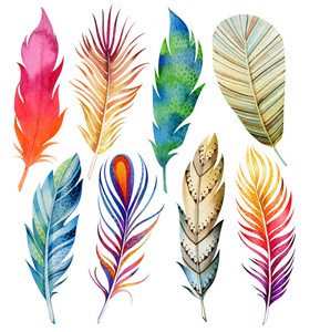 自然元素.热带.白色背景上的孤立物体.照片