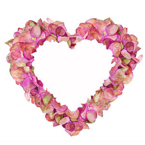 s Day, love, valentine, watercolor, hydrangea, spring, heart, fl