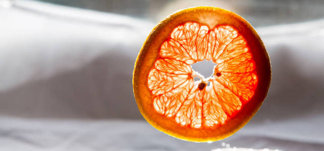 白色背景与背光隔离的橙果片
