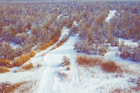 鸟瞰冬季积雪覆盖森林和冰冻湖从上面捕捉到的无人机。