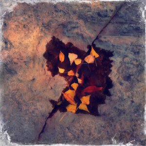 模糊的背景，秋天的树叶在岩石上的水坑里