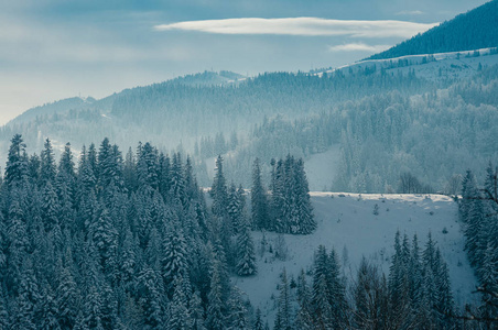 令人叹为观止的冬季山景覆盖着雪，森林在朦胧的遥远背景下。风景如画，宁静的温特里场景，欧洲度假胜地。晴朗的一天，乌云密布。复制空间