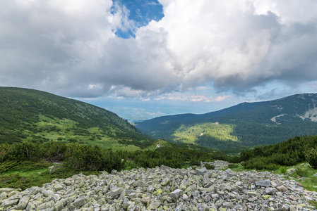 风景夏季景观，皮林山，保加利亚。