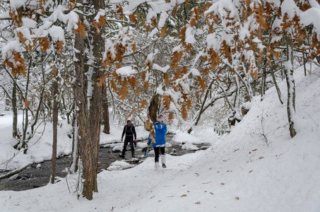 冬天的时候。 徒步旅行者在白雪皑皑的冬林中徒步旅行