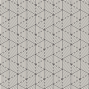 矢量无缝细线平铺背景.黑白线性格子纹理照片