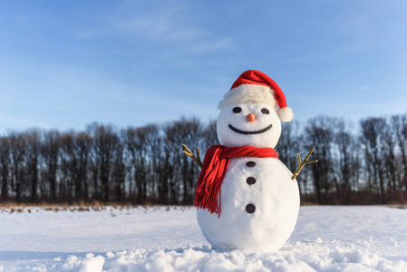 滑稽的雪人在红色帽子