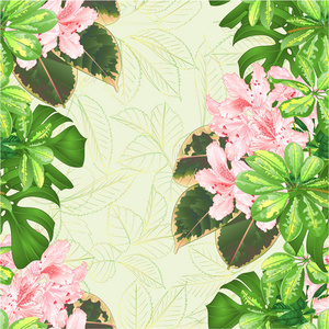 无缝质地花束热带花卉排列与美丽的淡粉色杜鹃花，紫鹃，菲林，复古矢量插图，可编辑手绘。