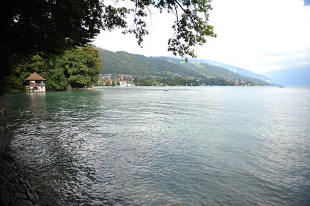 瑞士阿尔卑斯山和图恩湖的全景, 夏季