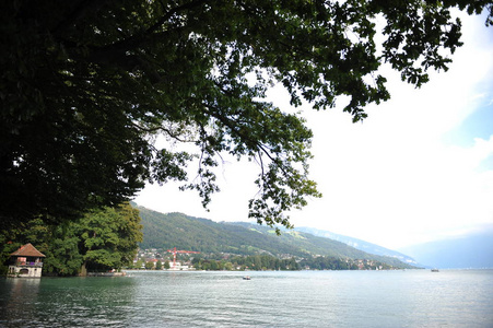 瑞士阿尔卑斯山和图恩湖的全景, 夏季