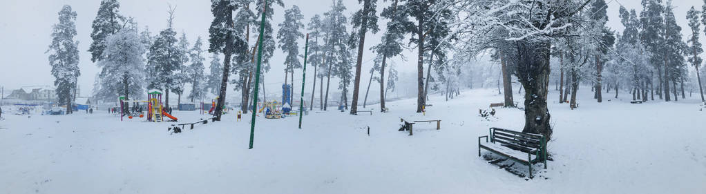 降雪。雪中的树。孩子们在雪地里散步。在雪中的树下板凳。巴库里亚尼山区滑雪胜地