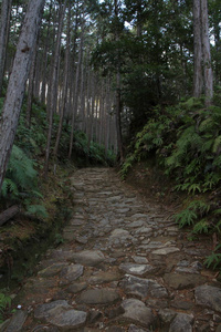 日本大阪的库马诺科多朝圣路线