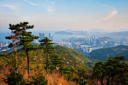 日落时的釜山城市景观广甘大桥