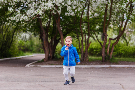春天，一个穿着蓝色风衣的时髦男孩和嘴里的棒棒糖沿着公园的小路跑。 苹果花背景