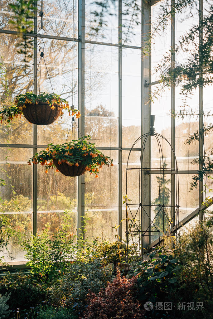 纽约布朗克斯的波弗山公共花园温室