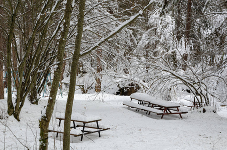 奇妙的冬季景观。 令人惊叹的冬季景观雪覆盖长凳在雪树和降雪期间。