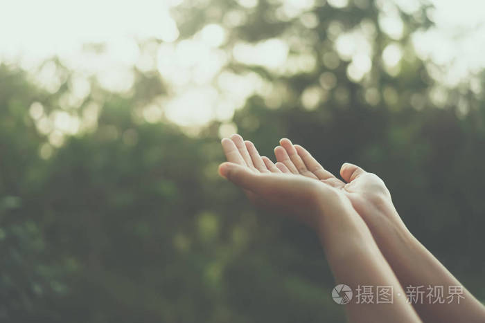 女人双手放在一起,就像在大自然面前祈祷绿色的背景.