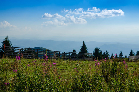 夏季塞尔维亚科帕尼克山的绿色草地和山丘