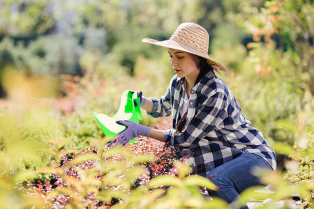 年轻的女园丁在花园里浇植物