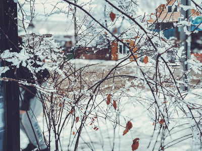 降雪。雪覆盖的树木和自动树叶在雪的秋天。冬天在山上。特写镜头