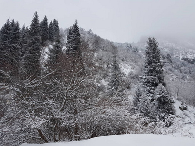 山林冬季景观，积雪清新。