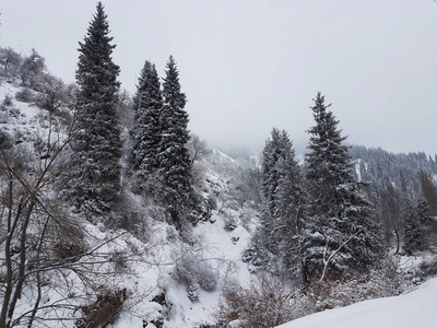 山林冬季景观，积雪清新。