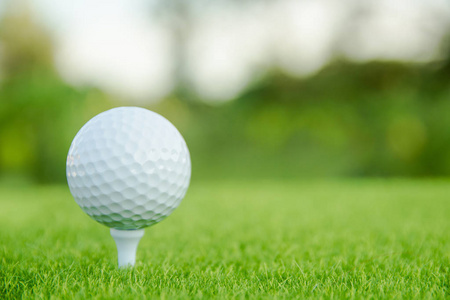 高尔夫球球与白色球杆在绿草准备在高尔夫球场玩。 副本空间