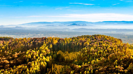 秋天的景色，景色，前景丰富的森林树木，背景蓝山