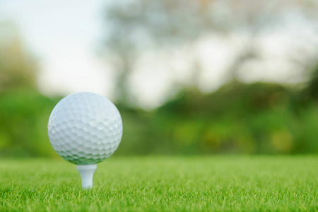 高尔夫球球与白色球杆在绿草准备在高尔夫球场玩。 副本空间