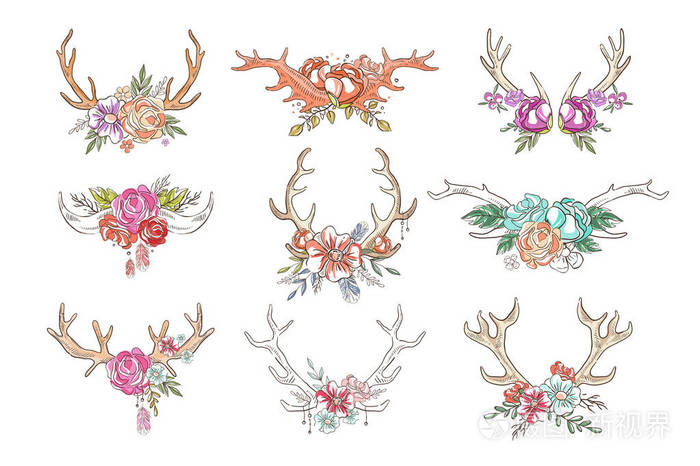 插画 鹿角与花卉和植物设置手绘花卉组成与鹿角矢量插图隔离在白色