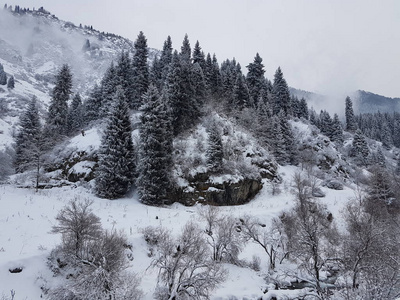 山林冬季景观，积雪清新。