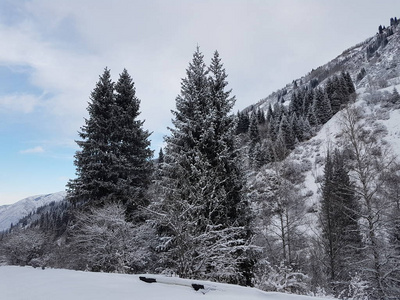 山林冬季景观，积雪清新。