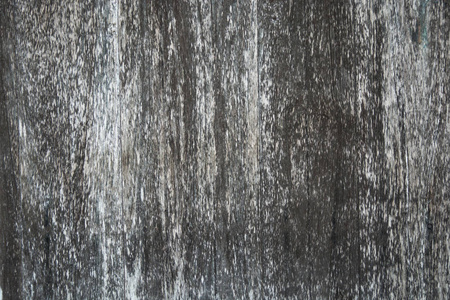 树皮木材的纹理用作背景和复制空间