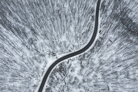 冬季森林道路的顶部景观。 空中无人机图像