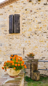 乡村住宅立面与花卉装饰意大利