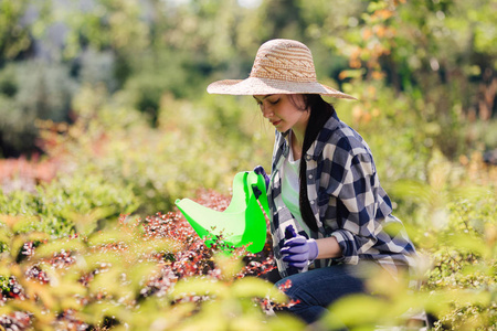 年轻的女园丁在花园里浇植物