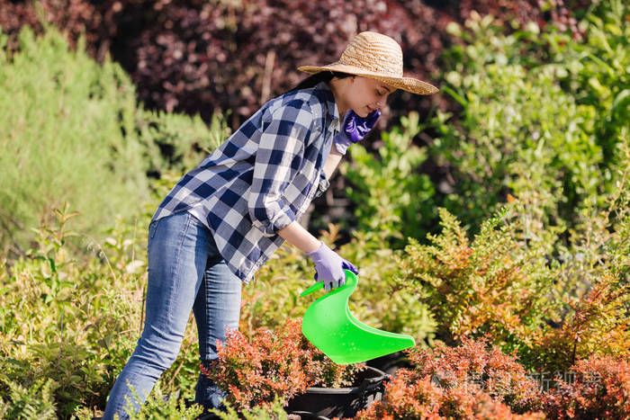 年轻的女园丁在花园里浇植物照片-正版商用图片18h543-摄图新视界