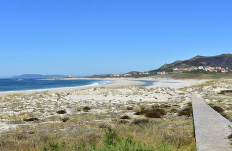 沙丘木板路河流和灯塔上有植被的海滩。碧海带波浪和泡沫，晴天..加利西亚，西班牙。