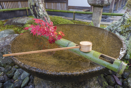 秋日日本京都祖根赞恩口集寺日本花园中的竹库白水泉。 脸盆周围有红色的枫叶。