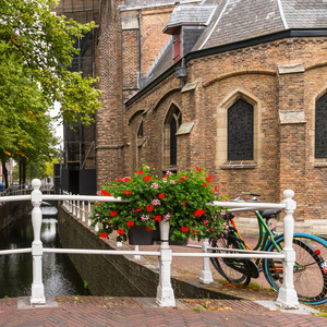 在整个荷兰，你可以在运河上找到有特色的房子。