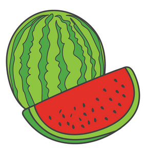 夏季水果西瓜手工绘制矢量照片