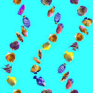 波浪状无缝图案。 蓝色背景上的多种颜色的鱼。 关于自然艺术动物海鱼的网站。
