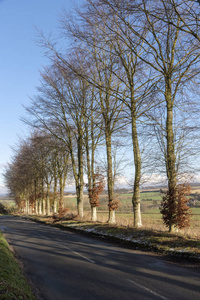 坎多佛谷汉普郡英国。 2019年1月，英国汉普郡阳光明媚的一天，一幅横跨农田的冬季景观，眺望托特福德的小村庄