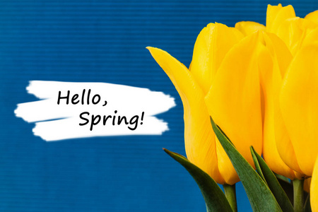 s Day or 8th of March festive theme with text hello spring.