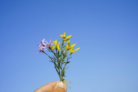 在蓝天背景下，雄性手中捧着春天的野花