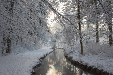 深雪的森林道路，在冬天的冬天