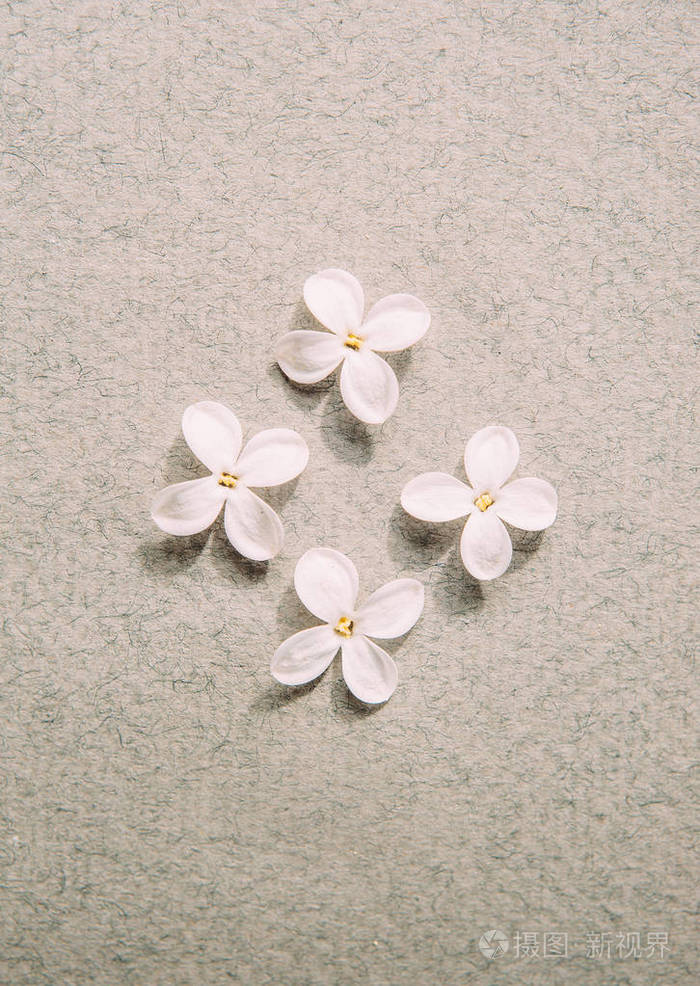 四朵天然小花在纸上纹理背景俯视